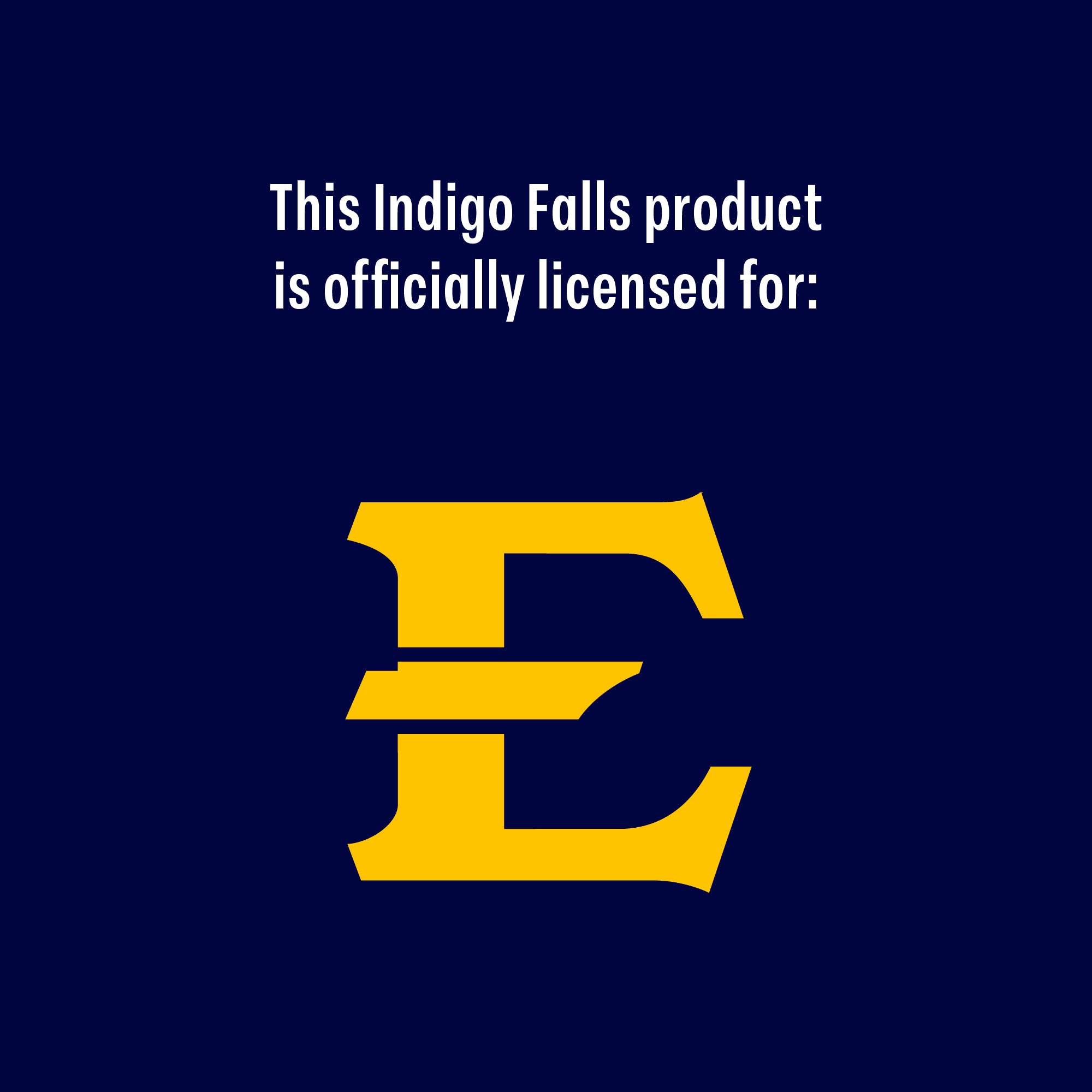 24oz East Tennessee Buccaneers Medley Stainless Steel Tumbler