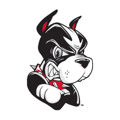 Boston University Terriers