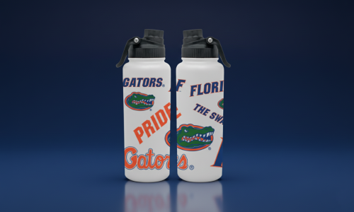 Stainless Steel Bottles