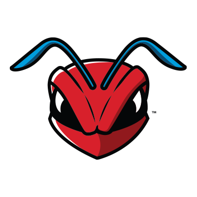 Delaware State Hornets