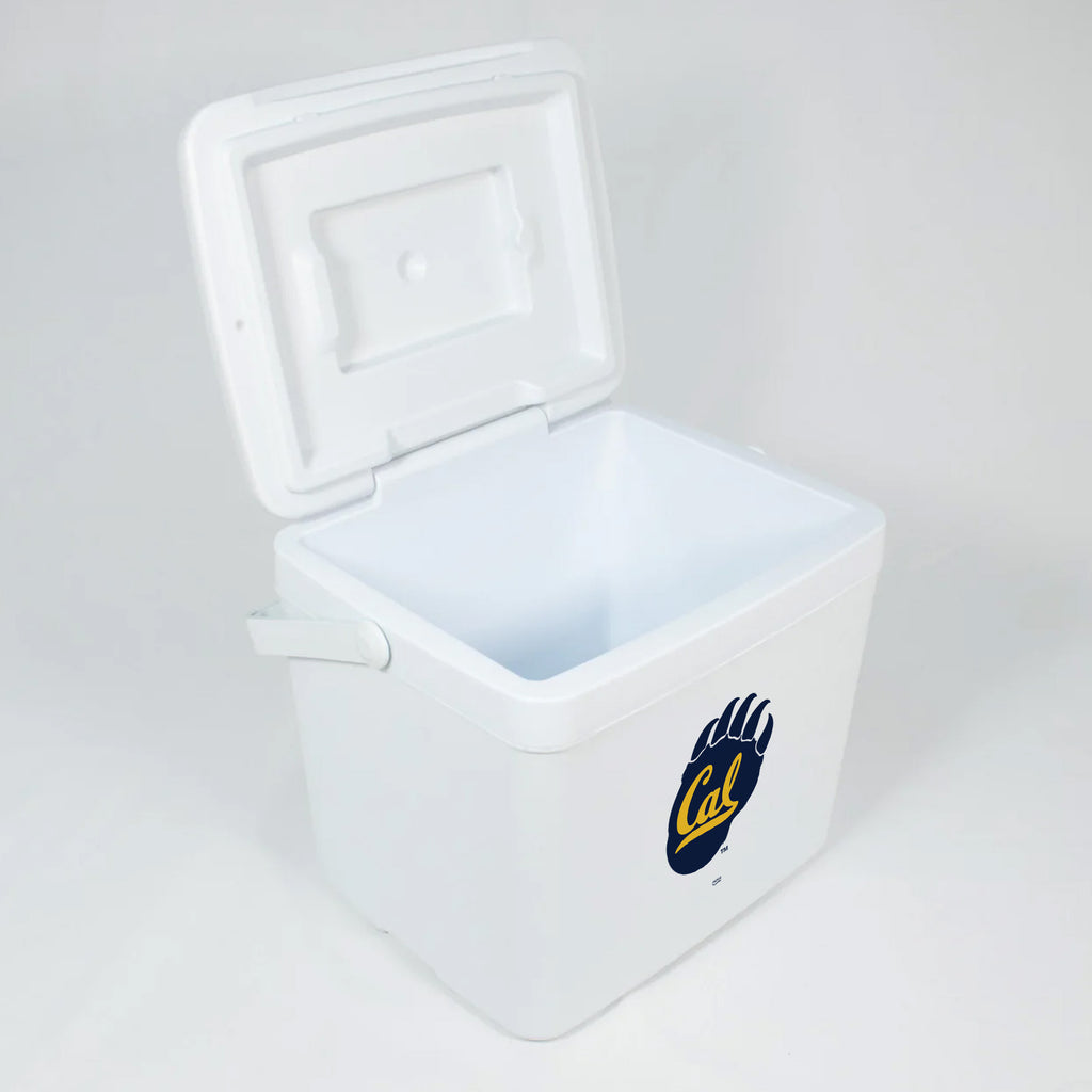 16qt Cal Golden Bears Tailgate Cooler