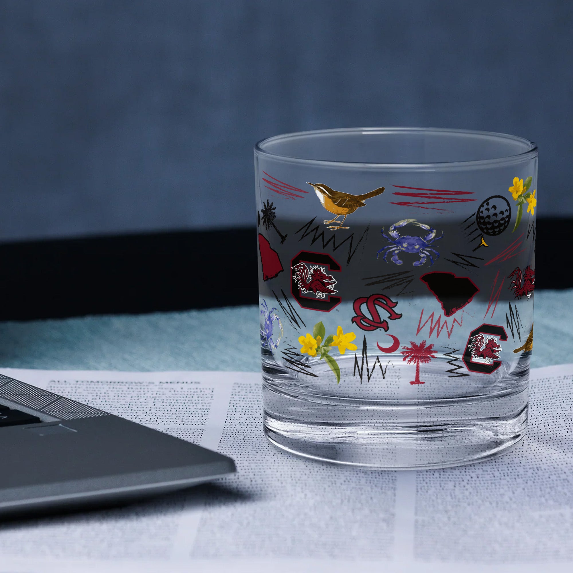 Set of 2 South Carolina Gamecocks 14oz Local Rocks Glasses