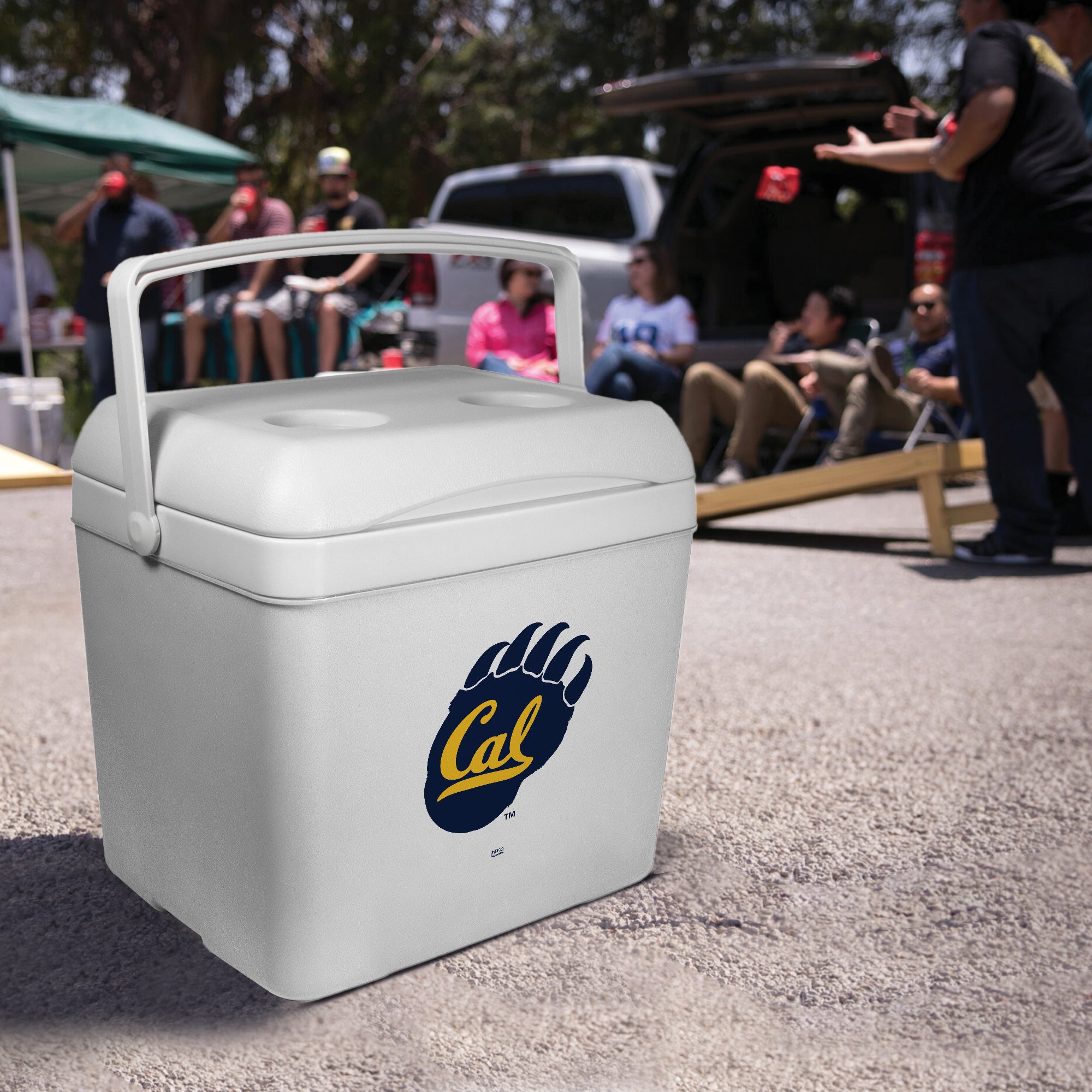 16qt Cal Bears Tailgate Cooler