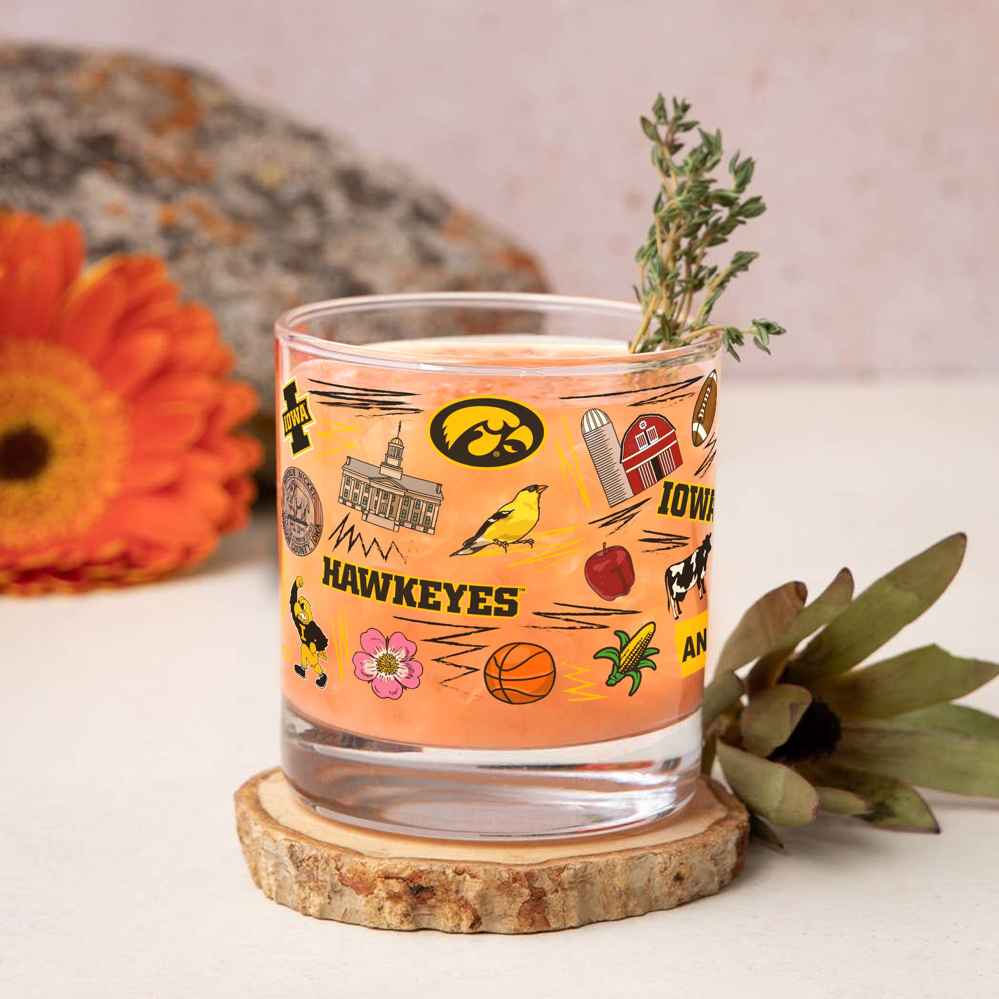 Set of 2 Iowa Hawkeyes 14oz Local Rocks Glasses