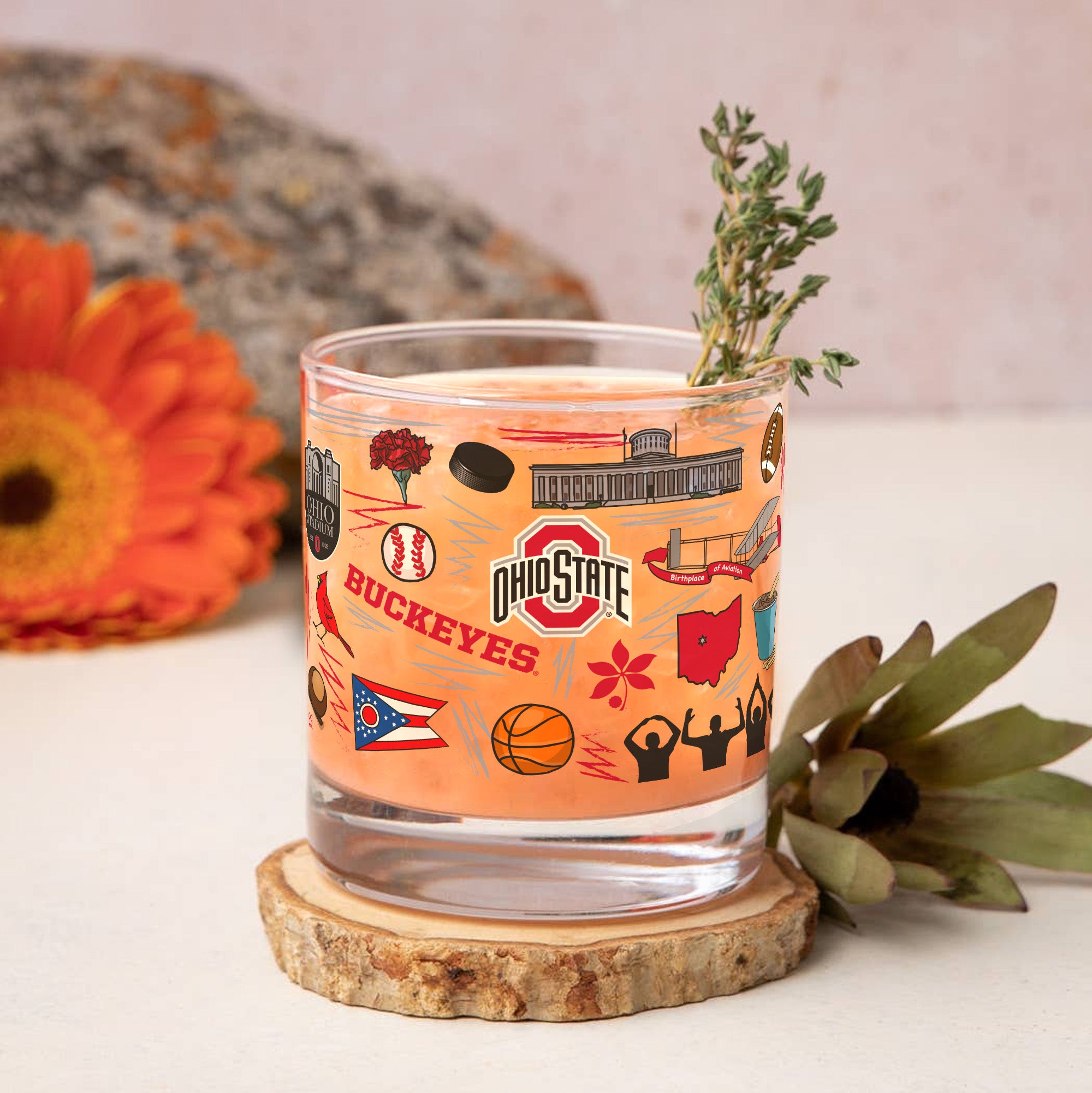 Set of 2 Ohio State Buckeyes 14oz Local Rocks Glasses