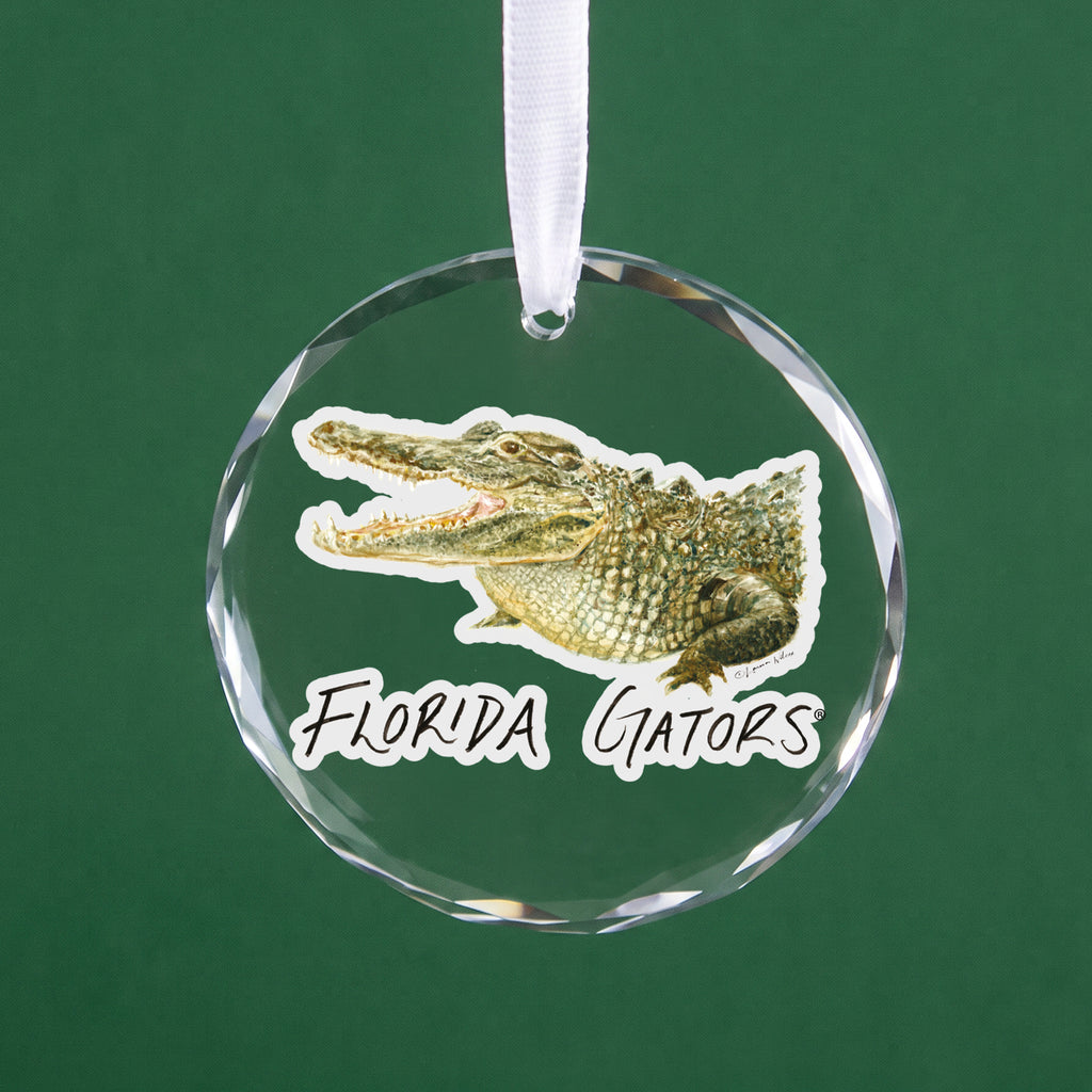 Florida Gators Mascot Clear Round Ornament by Laura Wilcox