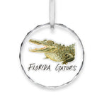 Florida Gators Mascot Clear Round Ornament by Laura Wilcox