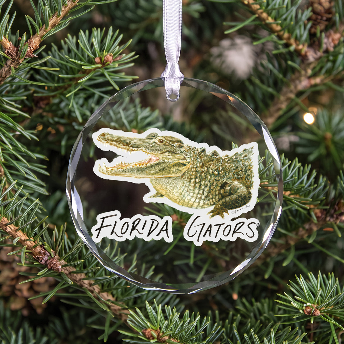 Florida Gators Mascot Clear Round Ornament by Laura Wilcox