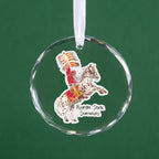 Florida State Seminoles Mascot Clear Round Ornament by Laura Wilcox