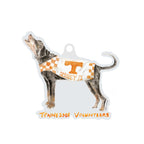 Tennessee Volunteers Mascot Acrylic Ornament by Laura Wilcox