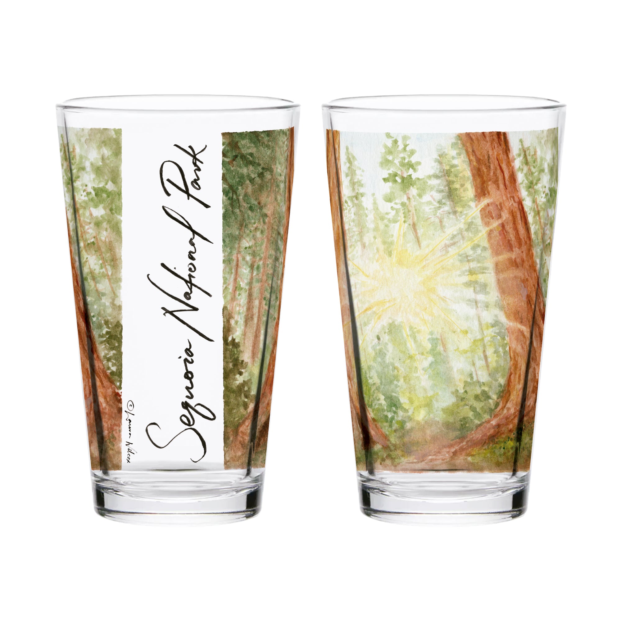 16oz Sequoia National Park 2-Pack Pint Set by Laura Wilcox
