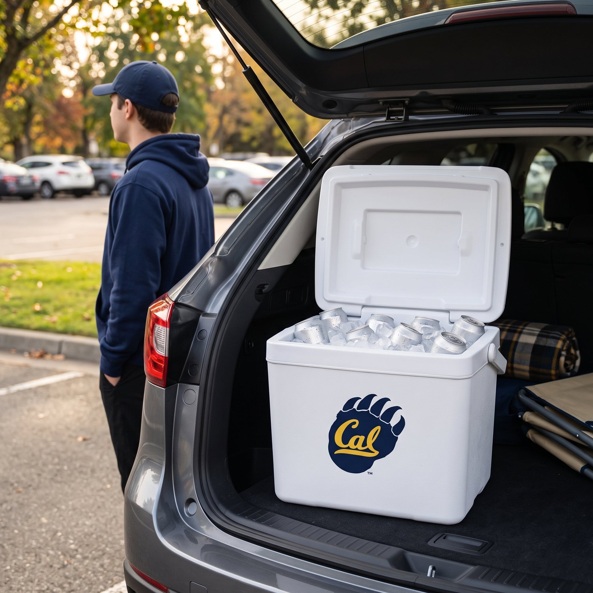 16qt Cal Golden Bears Tailgate Cooler