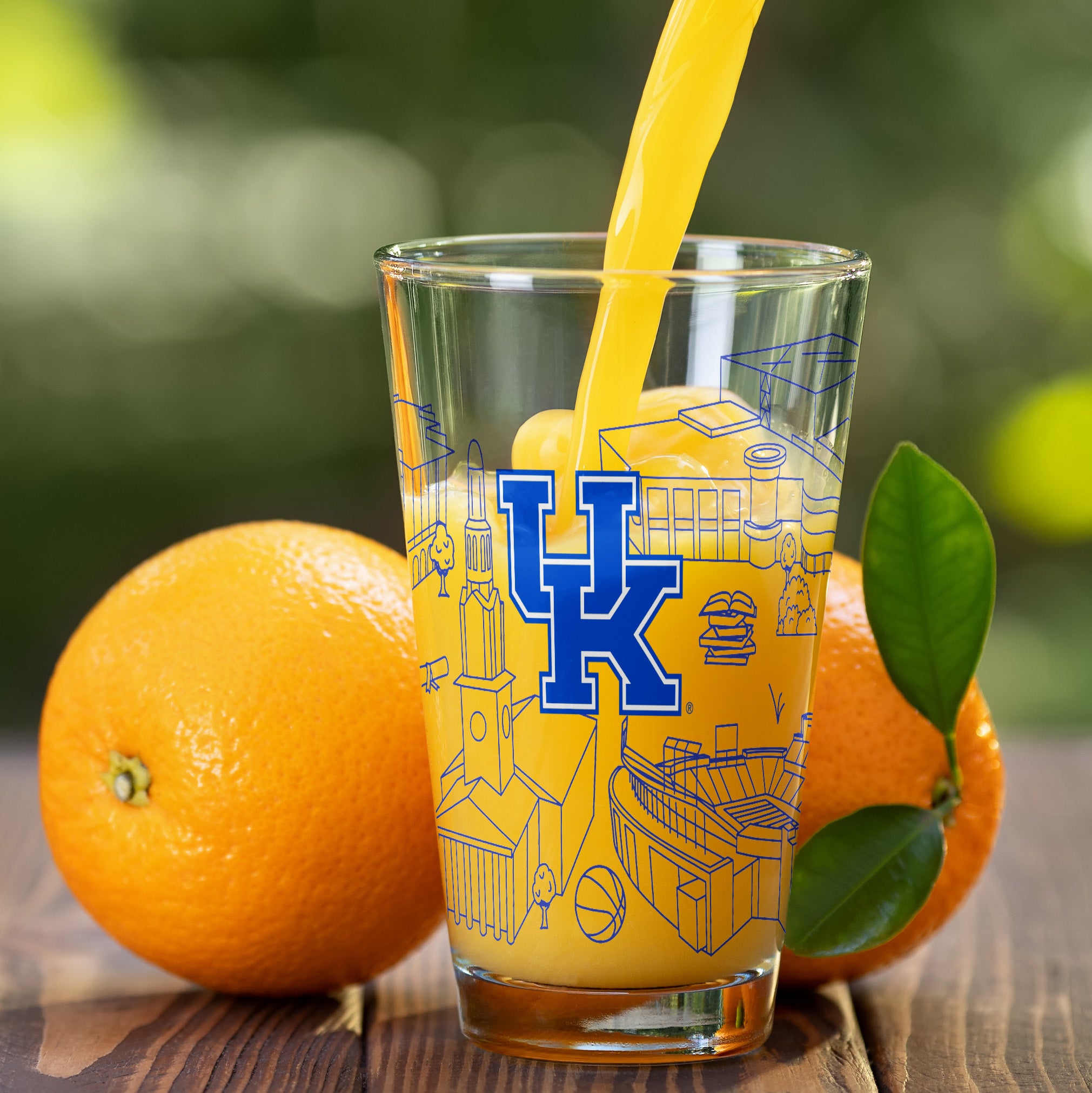 Set of 2 Kentucky Wildcats Campus Line Art 16oz Pints