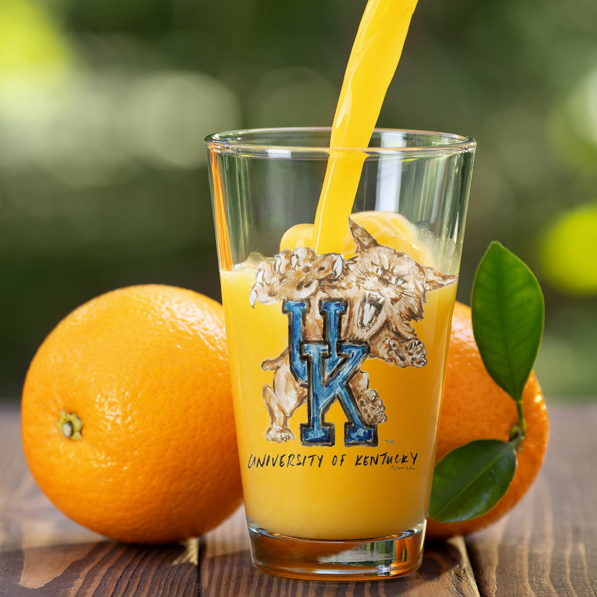 Set of 4 Kentucky Wildcats Mascot by Laura Wilcox 16oz Pint Glasses