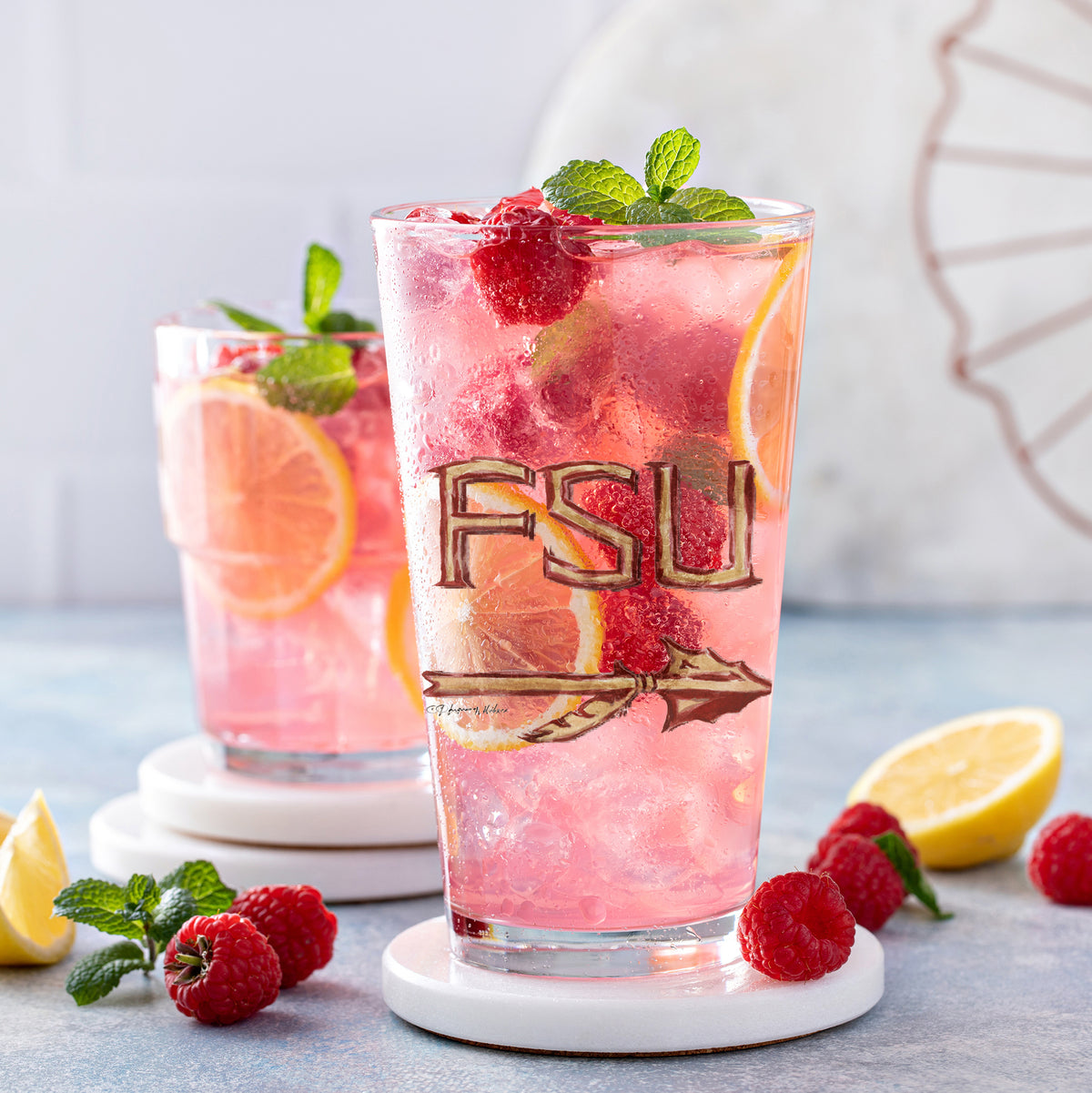 Set of 4 Florida State Seminoles Mascot by Laura Wilcox 16oz Pint Glasses