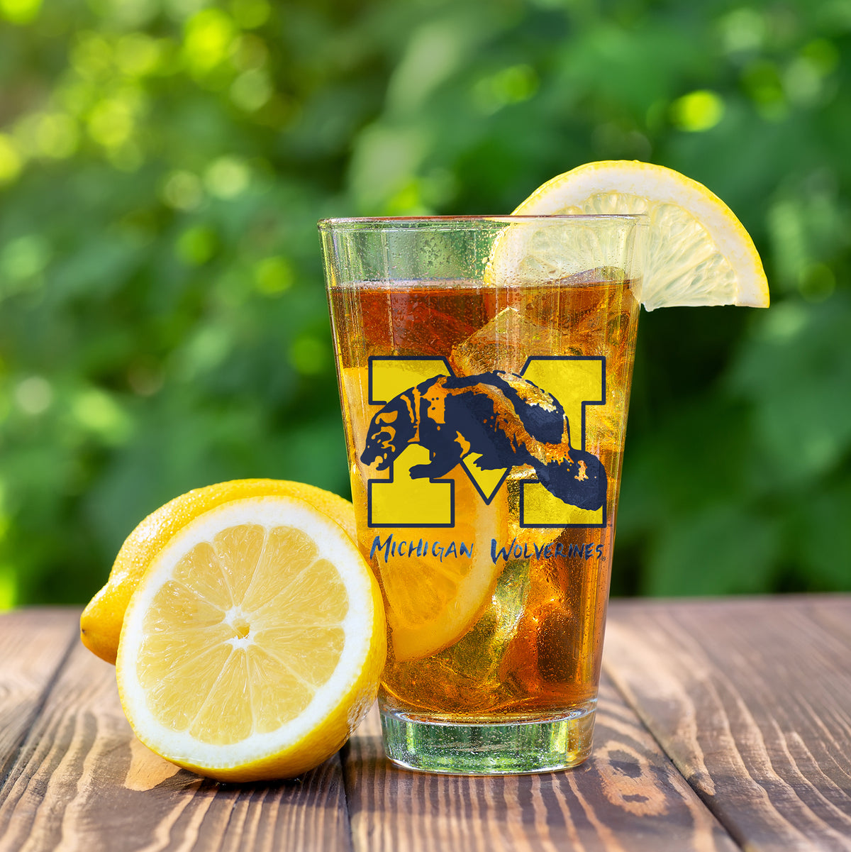 Set of 4 Michigan Wolverines Mascot by Laura Wilcox 16oz Pint Glasses