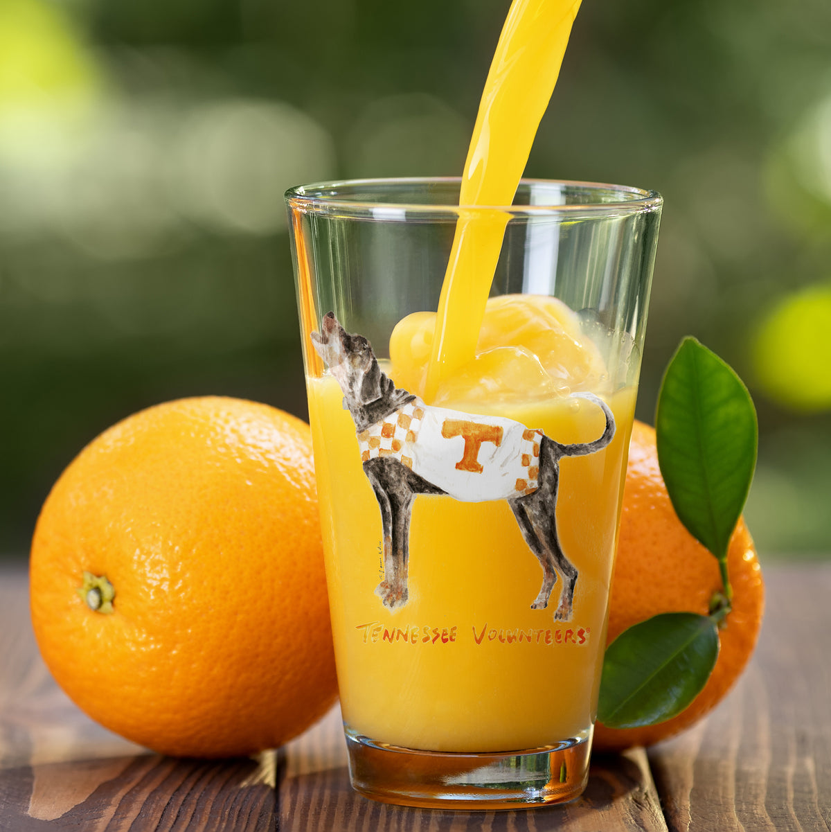 Set of 4 Tennessee Volunteers Mascot by Laura Wilcox 16oz Pint Glasses