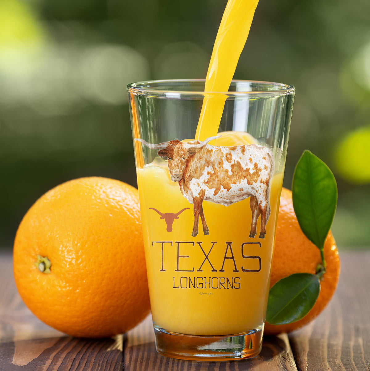Set of 4 Texas Longhorns Mascot by Laura Wilcox 16oz Pint Glasses