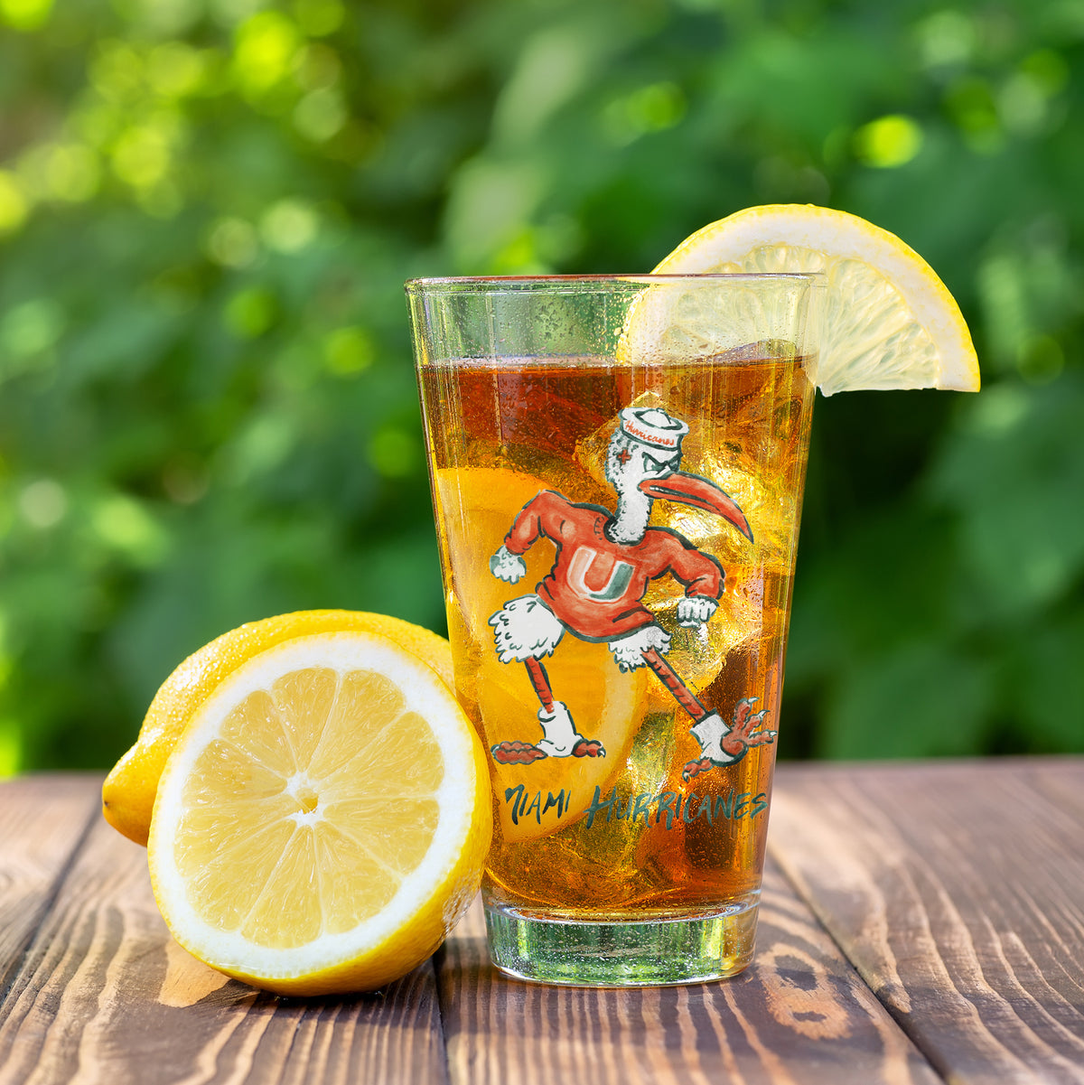 Set of 4 Miami Hurricanes Mascot by Laura Wilcox 16oz Pint Glasses