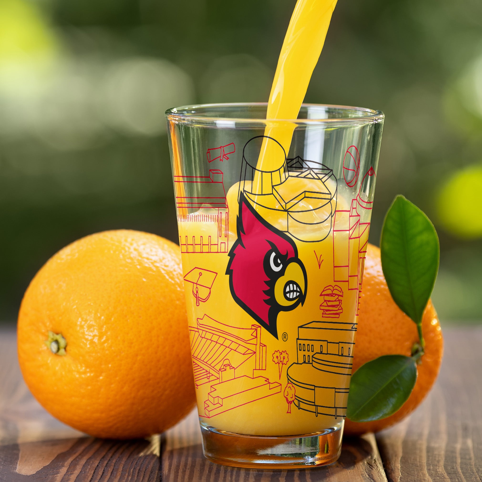 Set of 2 Louisville Cardinals Campus Line Art 16oz Pints
