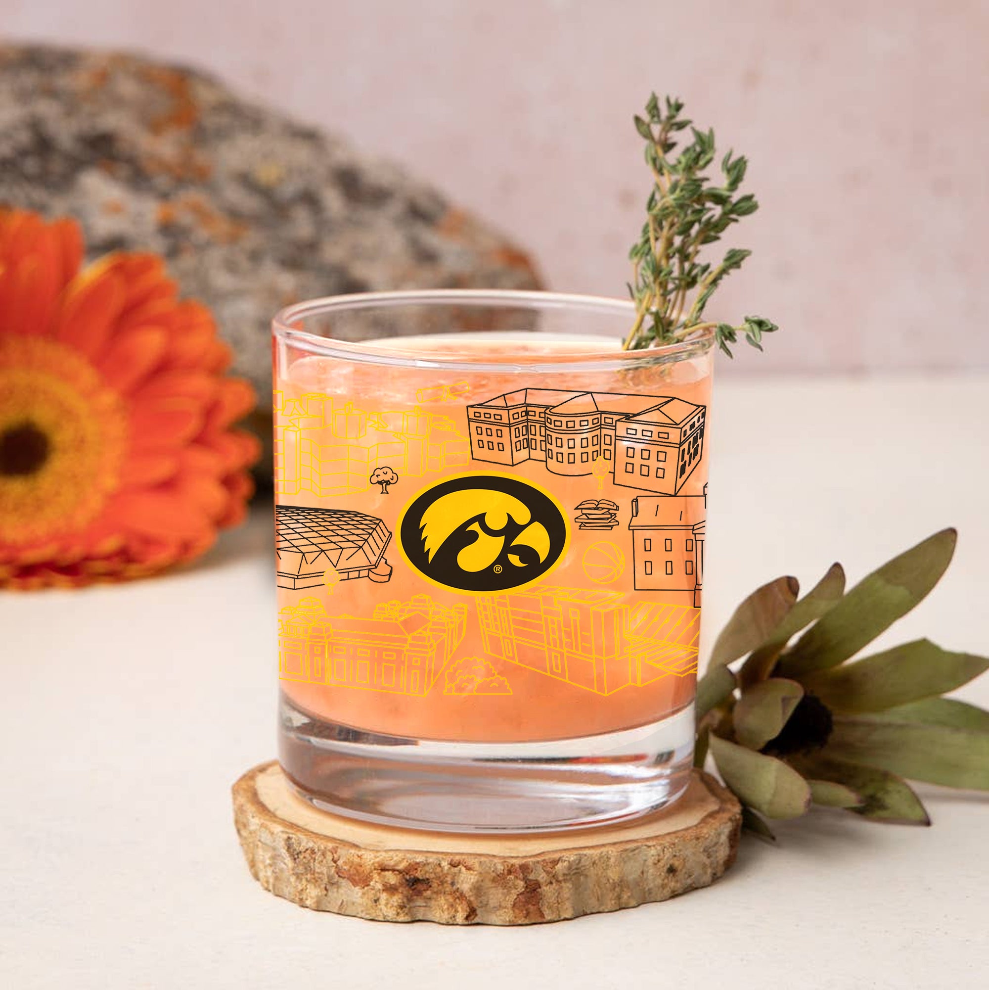 Set of 4 Iowa Hawkeyes Campus Line Art 14oz Rocks Glasses