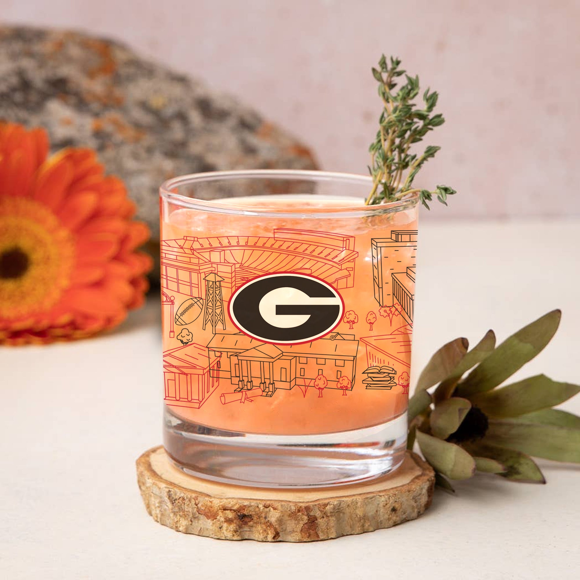 Set of 4 Georgia Bulldogs Campus Line Art 14oz Rocks Glasses