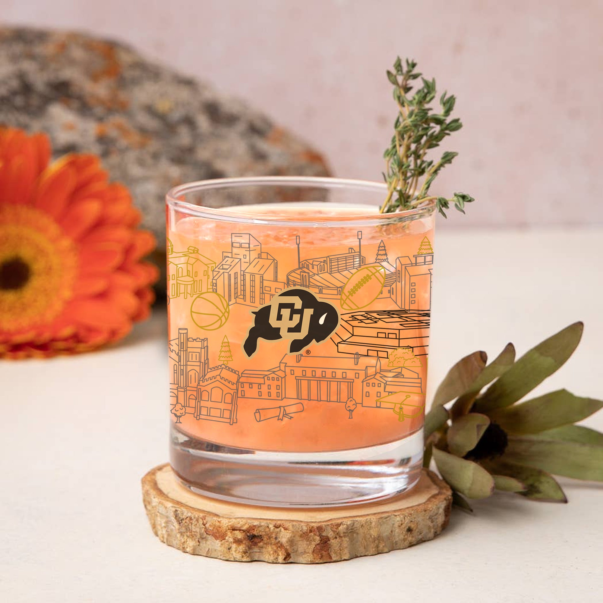 Set of 4 Colorado Buffaloes Campus Line Art 14oz Rocks Glasses