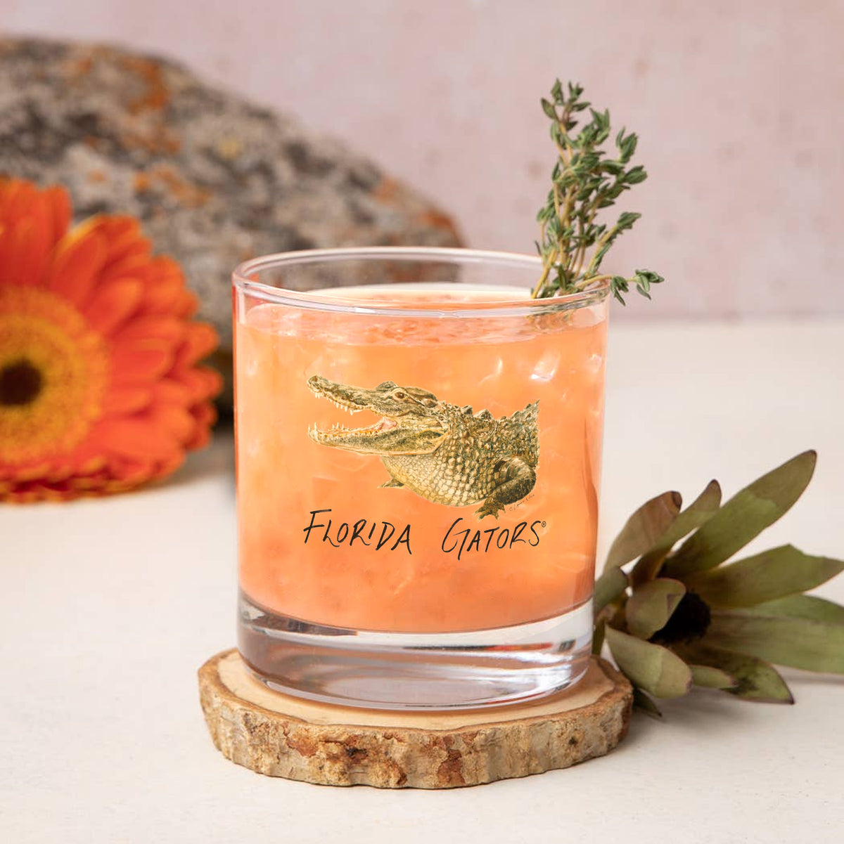 Set of 4 Florida Gators Mascot by Laura Wilcox 14oz Rocks Glasses