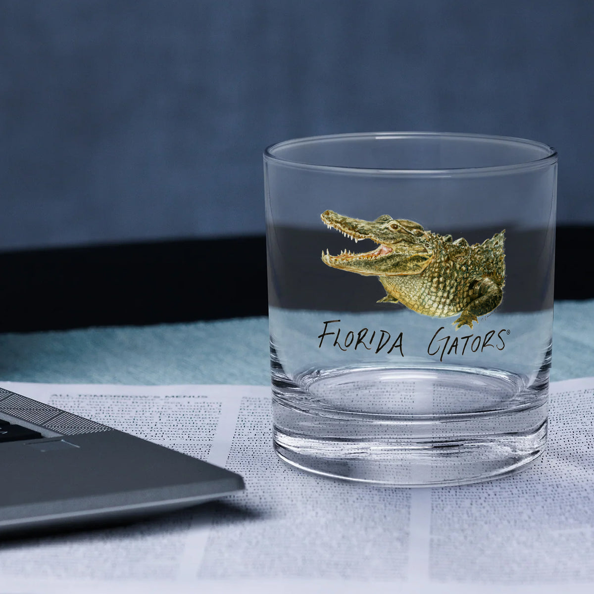Set of 4 Florida Gators Mascot by Laura Wilcox 14oz Rocks Glasses