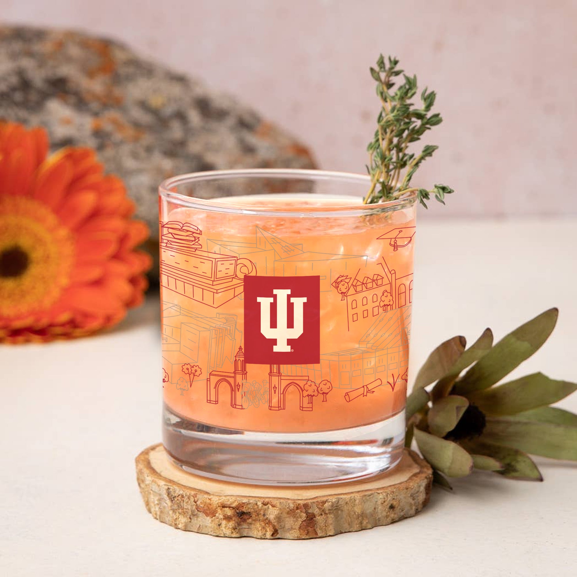 Set of 4 Indiana Hoosiers Campus Line Art 14oz Rocks Glasses