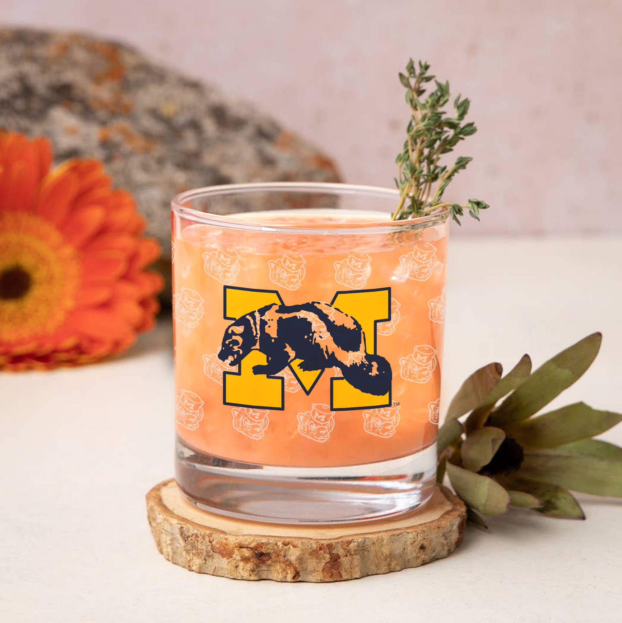 Set of 4 Michigan Wolverines College Vault Rocks Glasses