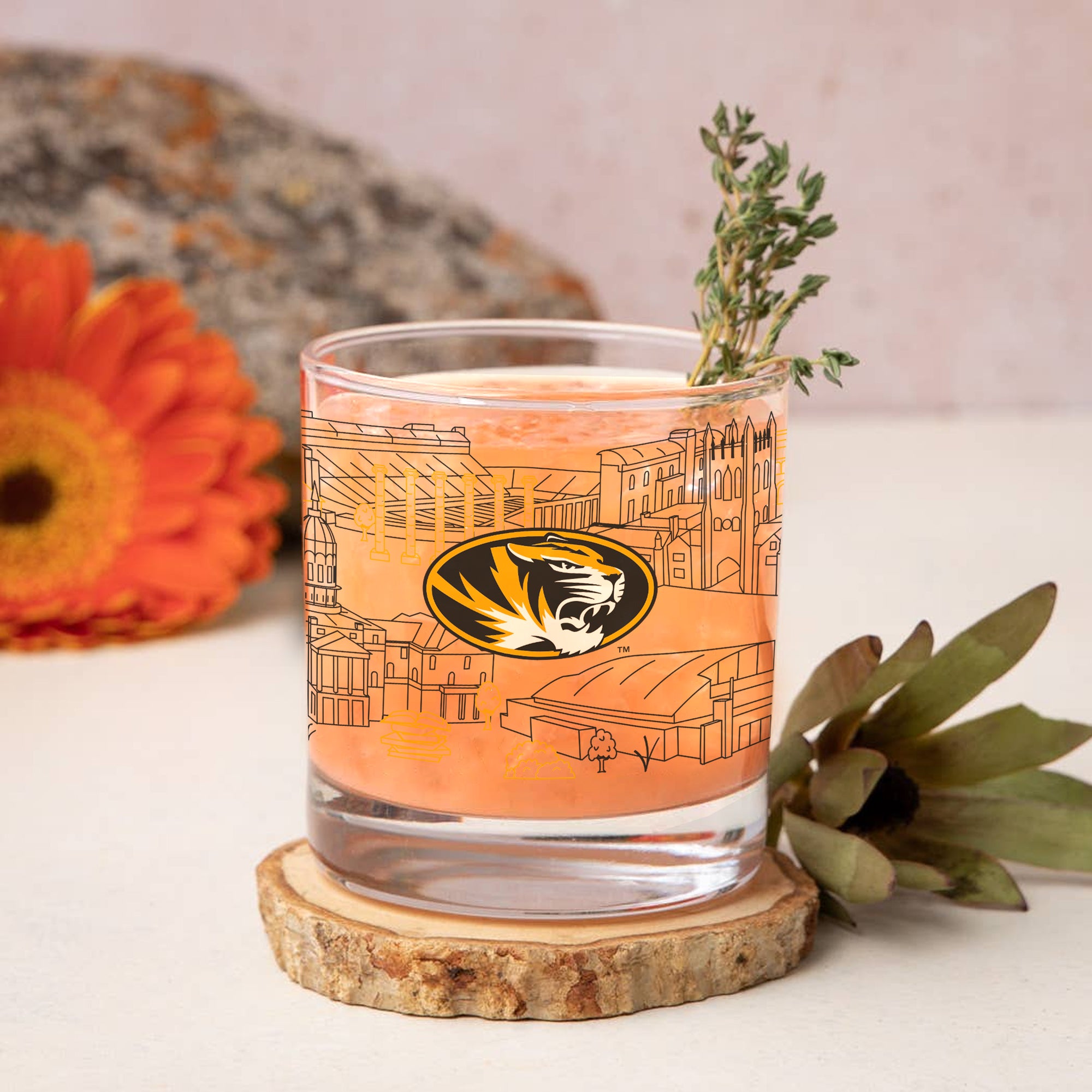 Set of 4 Missouri Tigers Campus Line Art 14oz Rocks Glasses
