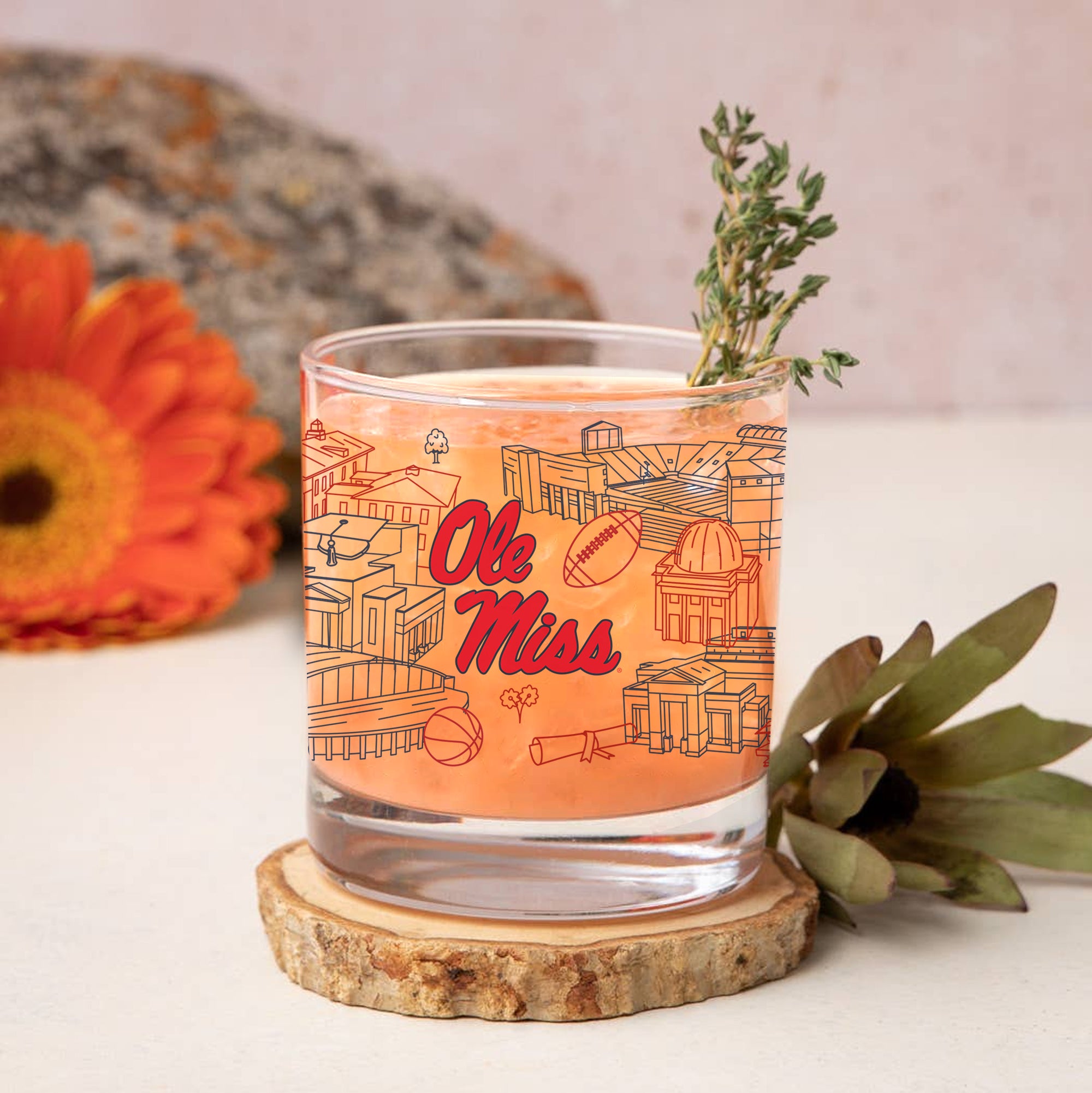 Set of 4 Ole Miss Rebels Campus Line Art 14oz Rocks Glasses