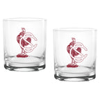 Set of 2 South Carolina Gamecocks College Vault Sketch 14oz Rocks Glasses
