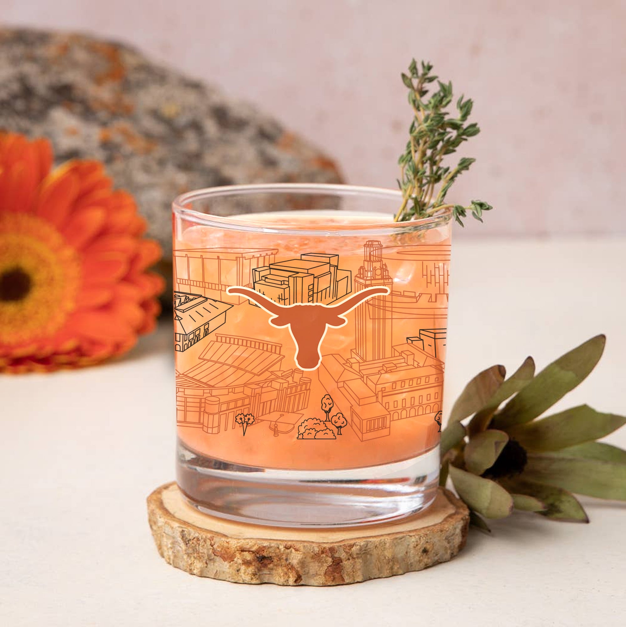 Set of 4 Texas Longhorns Campus Line Art 14oz Rocks Glasses