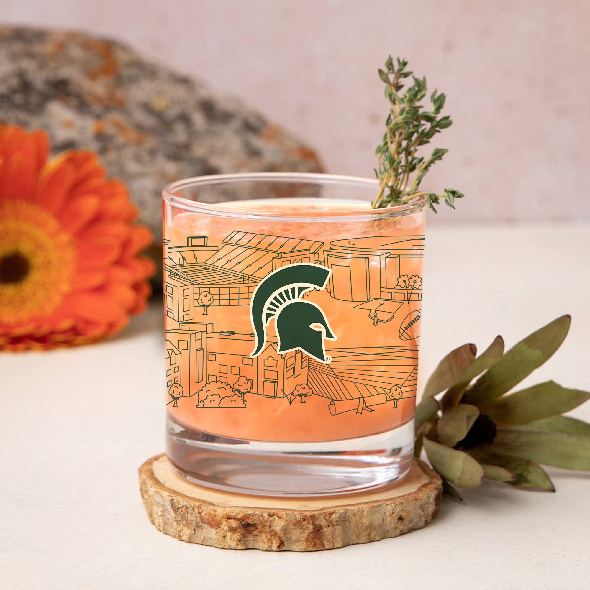 Set of 4 Michigan State Spartans Campus Line Art 14oz Rocks Glasses