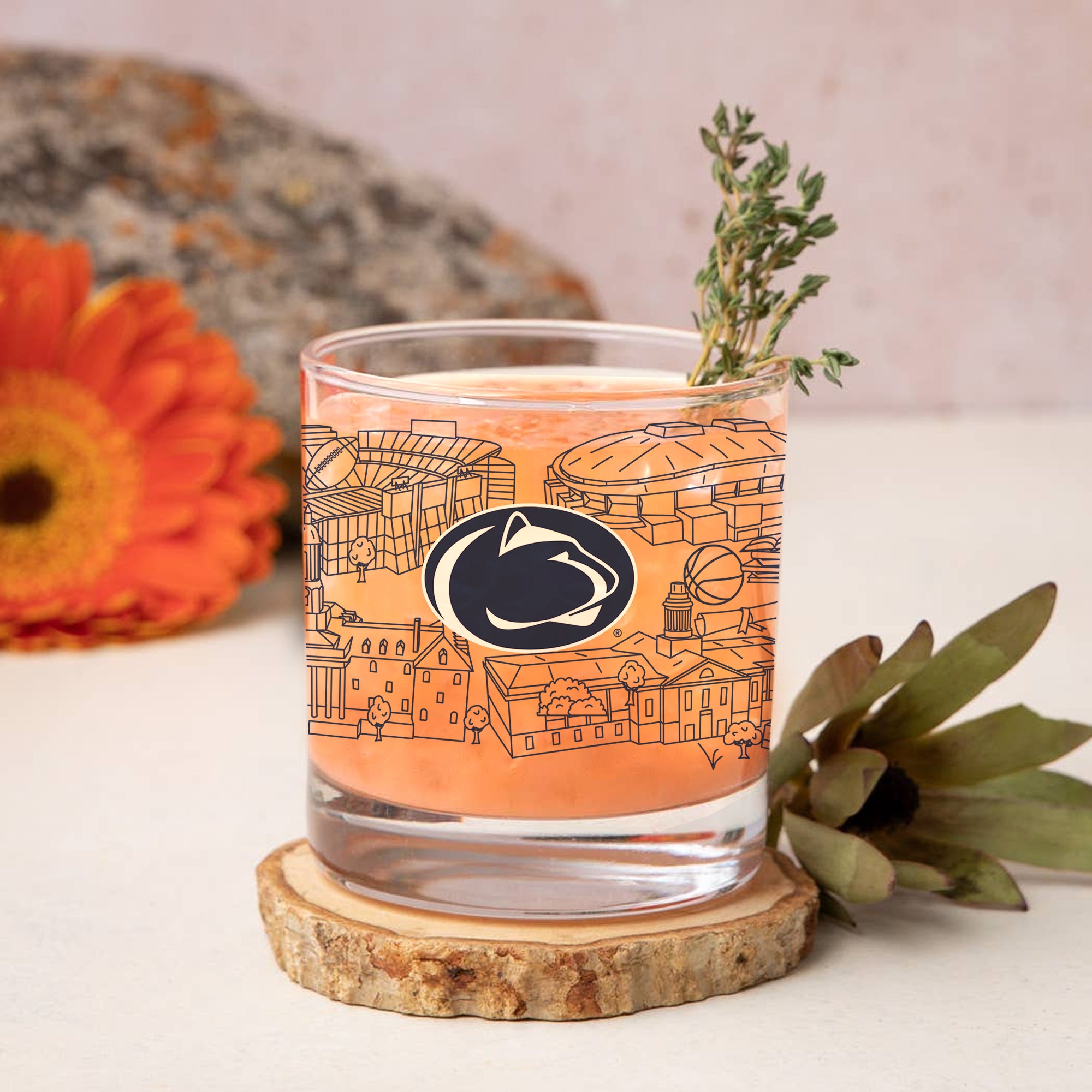 Set of 4 Penn State Nittany Lions Campus Line Art 14oz Rocks Glasses