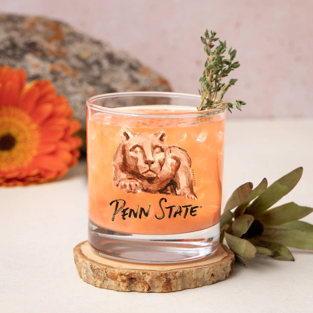 Set of 4 Penn State Nittany Lions Mascot by Laura Wilcox 14oz Rocks Glasses