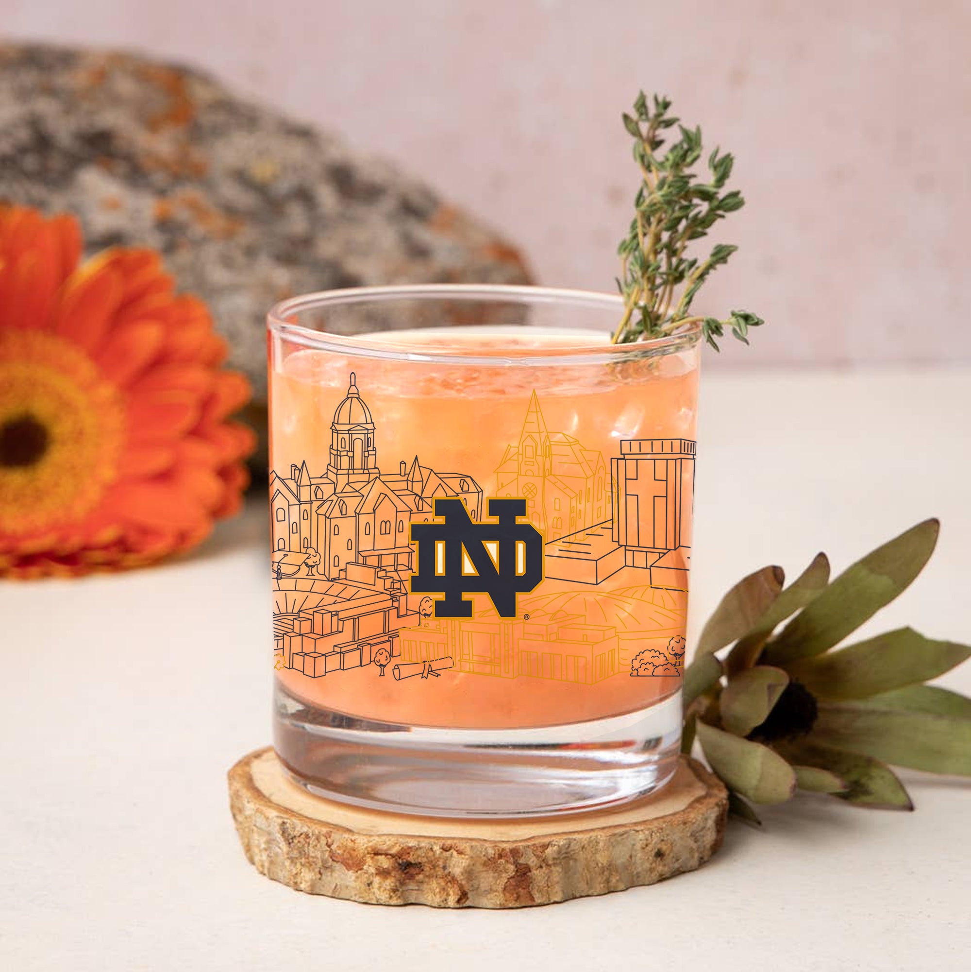 Set of 4 Notre Dame Fighting Irish Campus Line Art 14oz Rocks Glasses