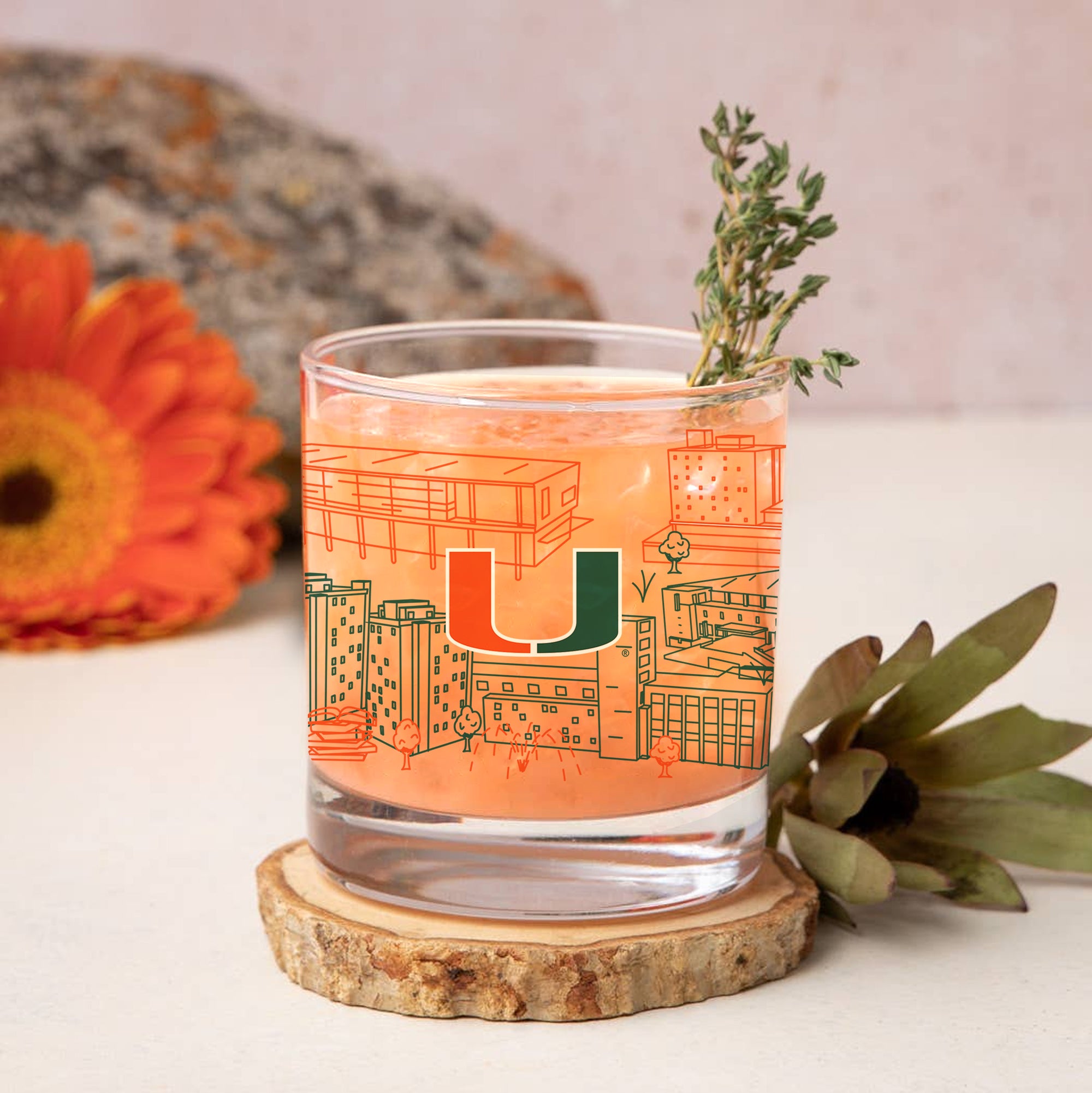 Set of 4 Miami Hurricanes Campus Line Art 14oz Rocks Glasses