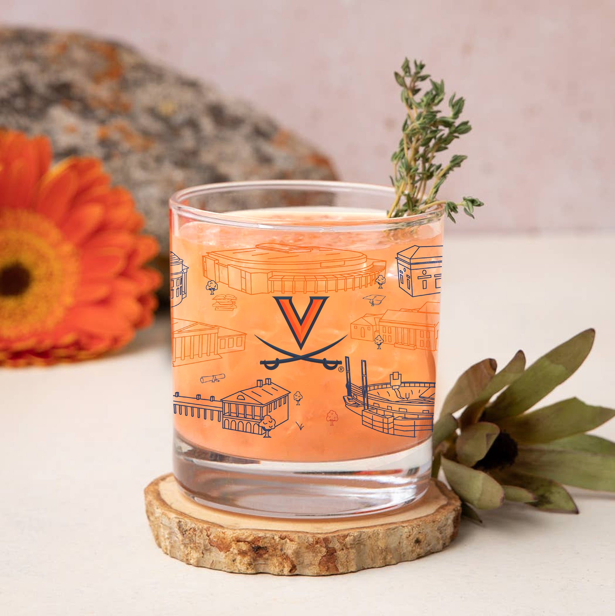 Set of 4 Virginia Cavaliers Campus Line Art 14oz Rocks Glasses