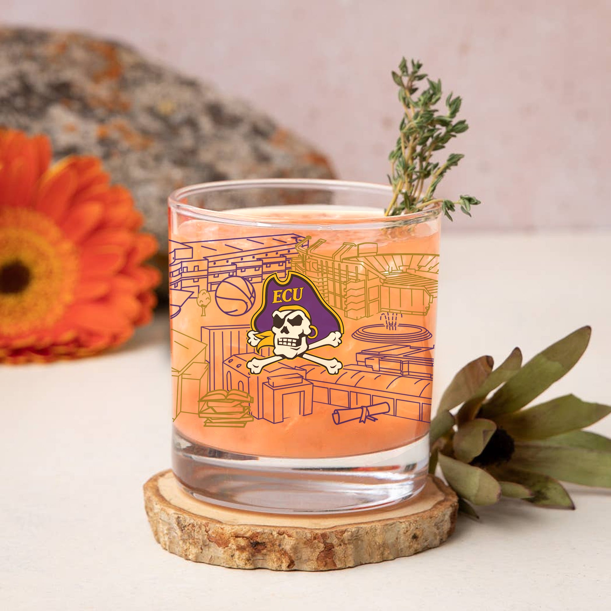 Set of 4 East Carolina Pirates Campus Line Art 14oz Rocks Glasses