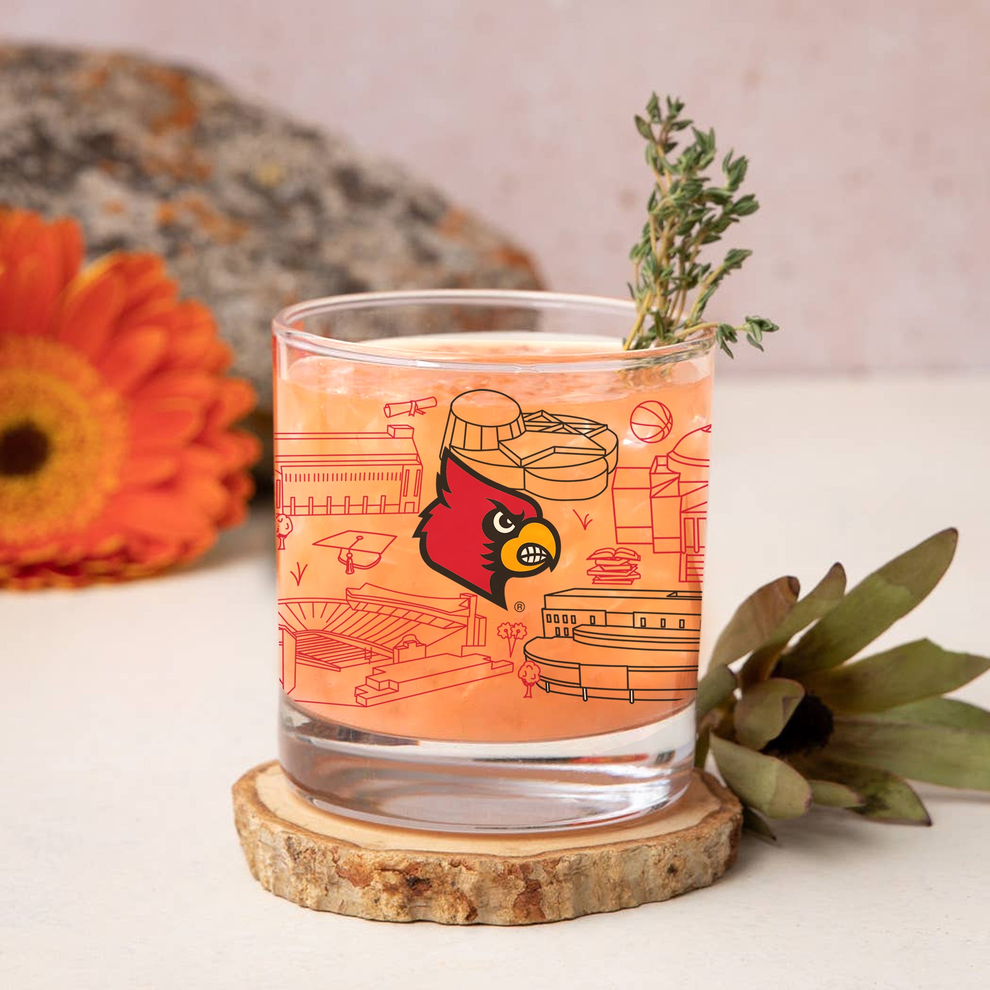 Set of 4 Louisville Cardinals Campus Line Art 14oz Rocks Glasses