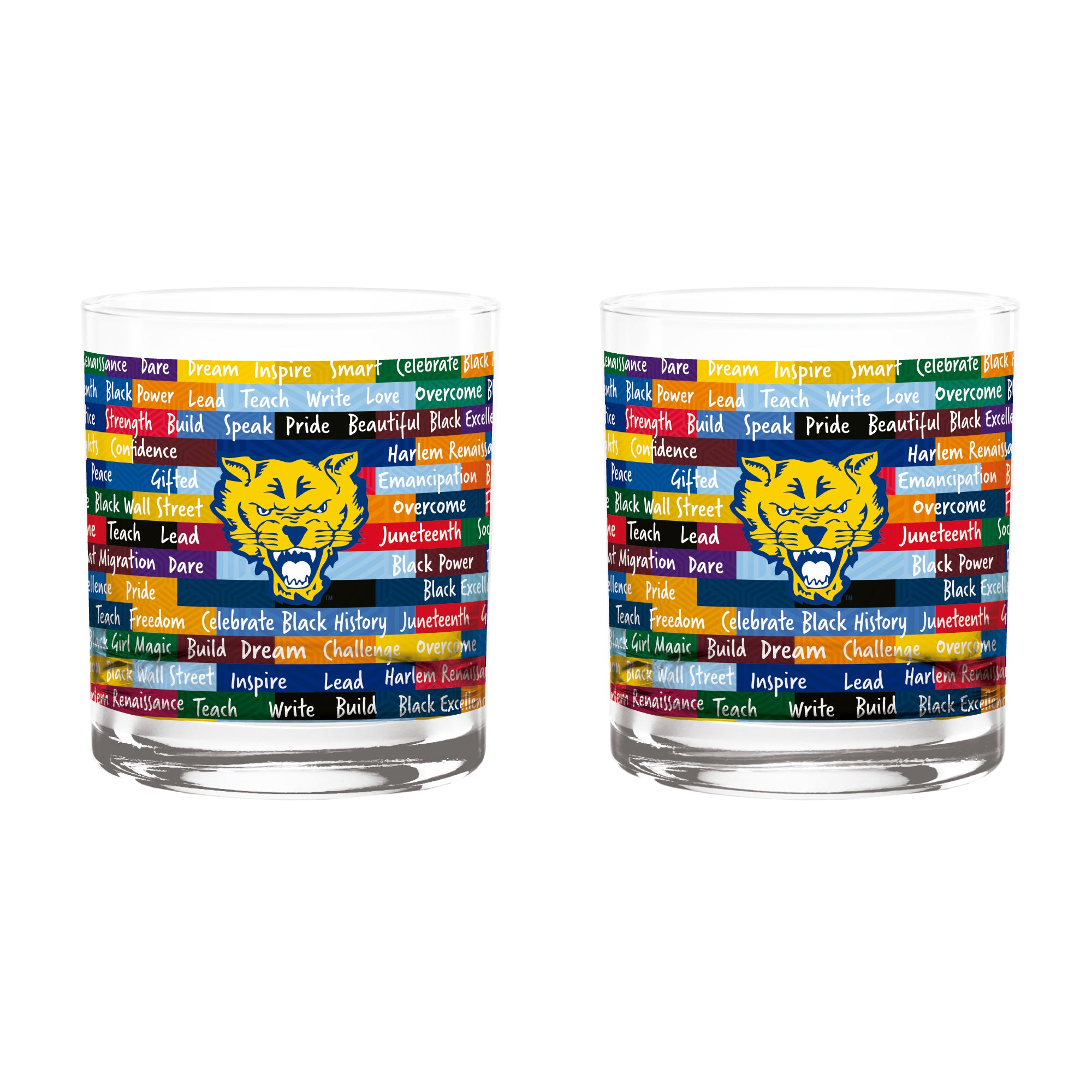 Fort Valley State Wildcats 14oz BHM Rocks Glasses | Set of 2