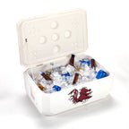 37QT SOUTH CAROLINA CORNHOLE COOLER