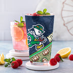 Set of 4 Notre Dame Fighting Irish Celtic Football Leprechaun 16oz Pints