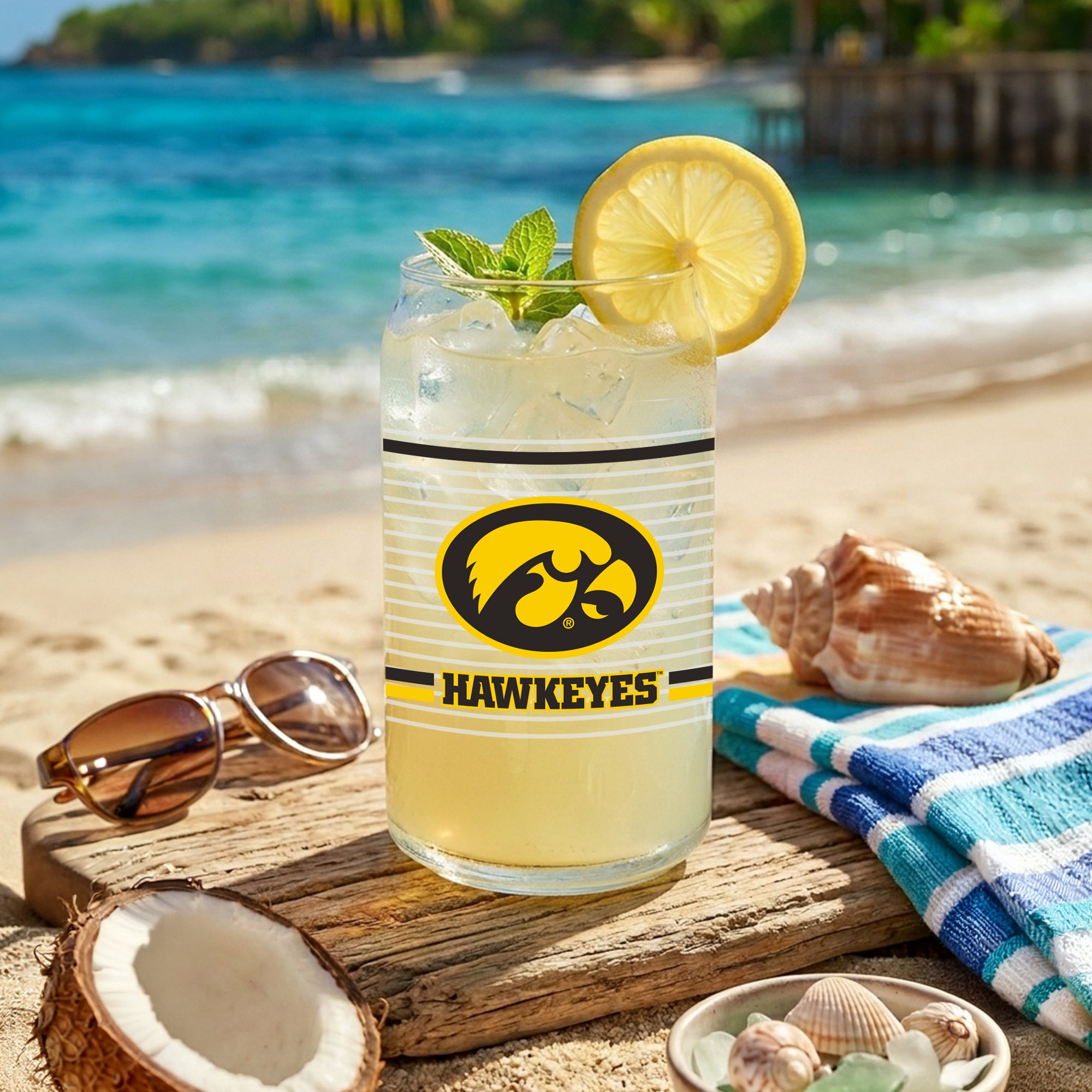 Set of 2 Iowa Hawkeyes 16oz XD Ring Can Glasses