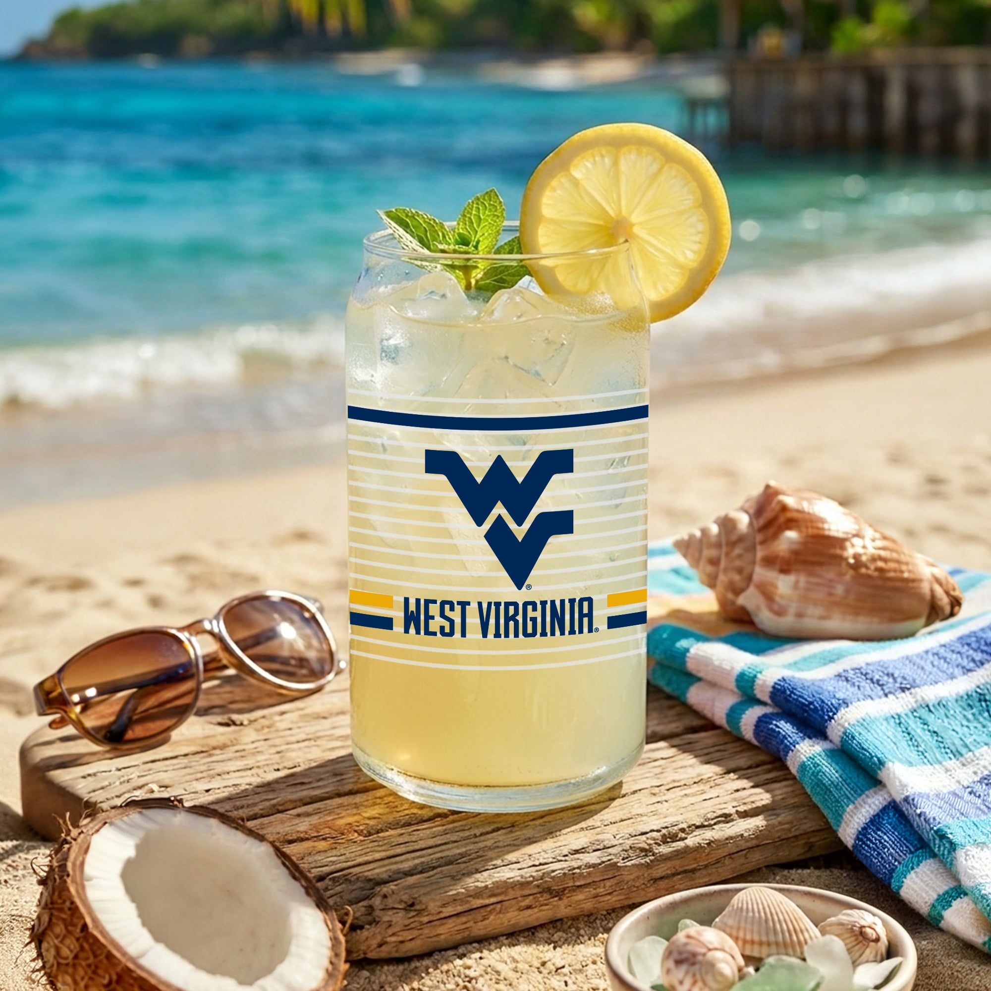 Set of 2 West Virginia Mountaineers 16oz XD Ring Can Glasses