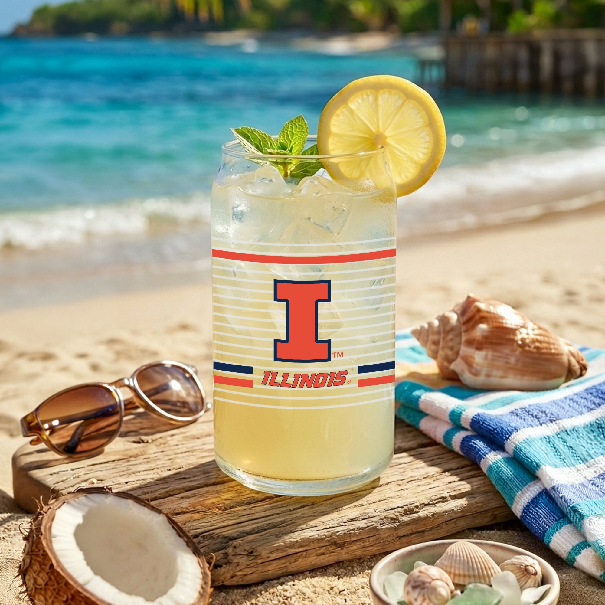 Set of 2 Illinois Fighting Illini 16oz XD Ring Can Glasses