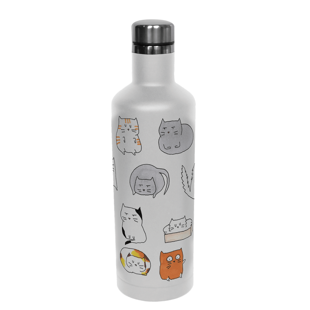 Cat water bottle for humans best sale